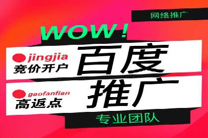 竞价广告案例：网络推广新思路
